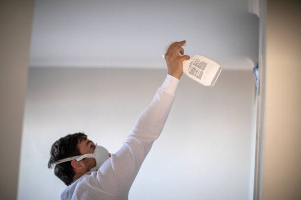  Columbus, TX Mold Removal Pros