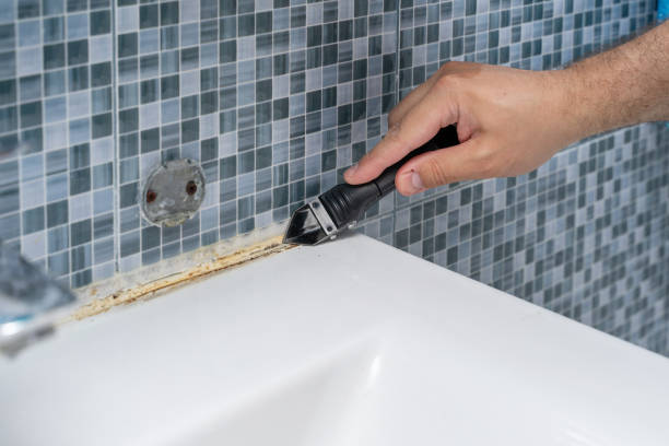Best Emergency Mold Removal  in Columbus, TX