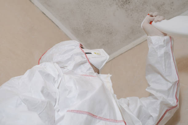 Best Affordable Mold Removal  in Columbus, TX