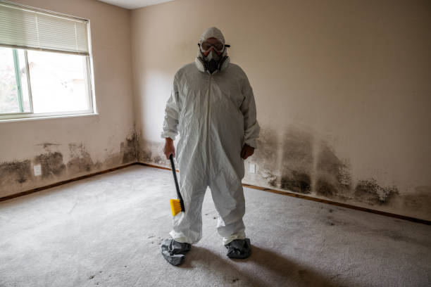 Best Professional Mold Removal  in Columbus, TX